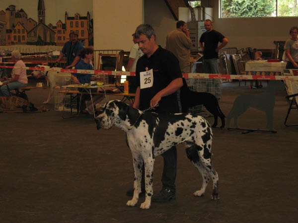 Bild 040