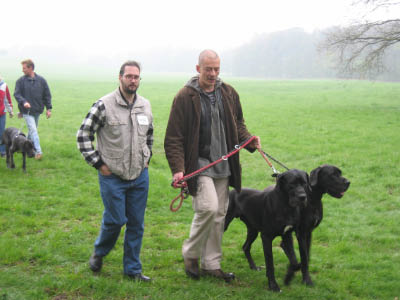 Doggentreffen Wuppertal 026