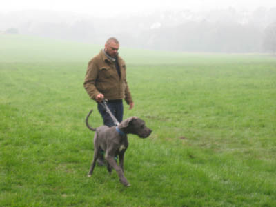 Doggentreffen Wuppertal 028