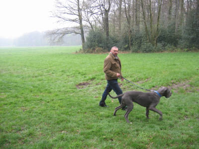 Doggentreffen Wuppertal 029