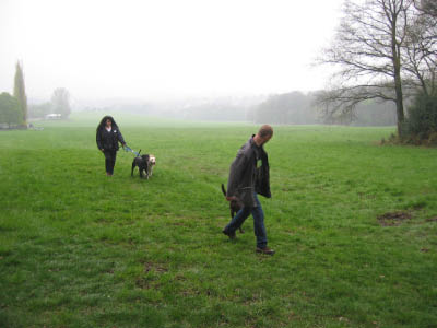 Doggentreffen Wuppertal 030