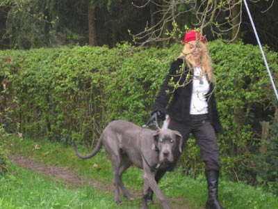 Doggentreffen Wuppertal 033