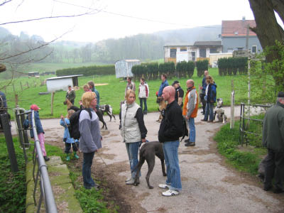 Doggentreffen Wuppertal 039
