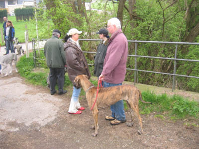 Doggentreffen Wuppertal 040