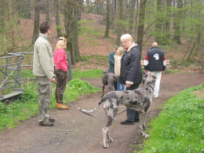 Doggentreffen Wuppertal 042