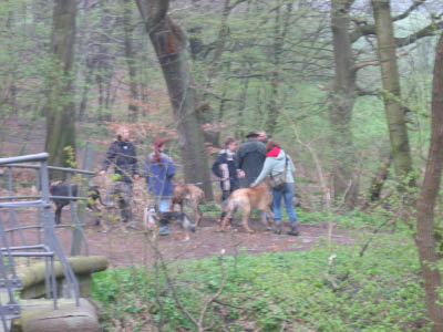 Doggentreffen Wuppertal 045