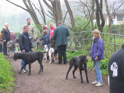 Doggentreffen Wuppertal 046