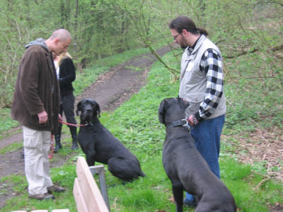 Doggentreffen Wuppertal 047