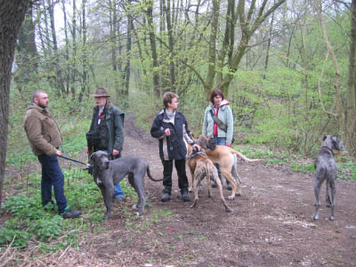 Doggentreffen Wuppertal 048