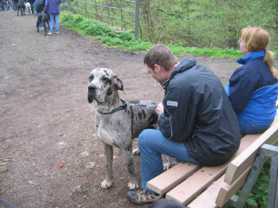 Doggentreffen Wuppertal 049