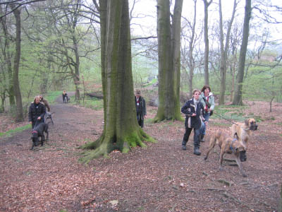 Doggentreffen Wuppertal 050