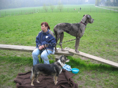 Doggentreffen Wuppertal 079