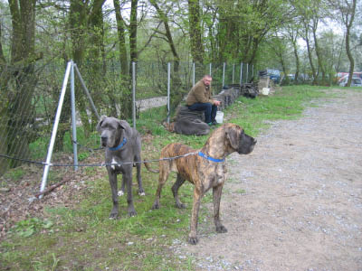 Doggentreffen Wuppertal 080