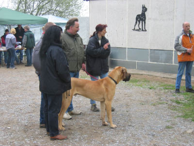 Doggentreffen Wuppertal 168