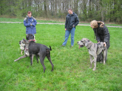 Doggentreffen Wuppertal 182