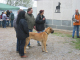 Doggentreffen Wuppertal 168