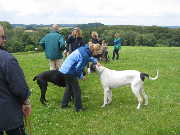Bild 121