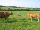 Eifel 003