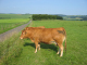 Eifel 004