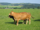 Eifel 178